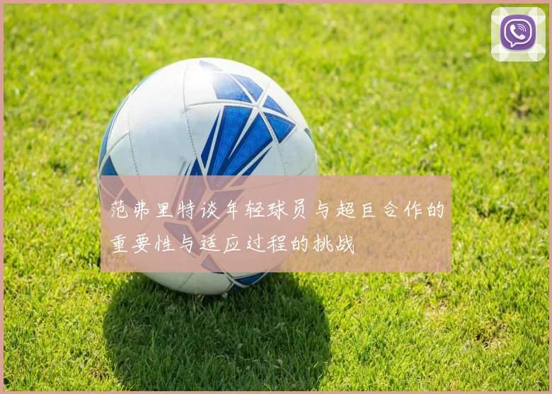 范弗里特谈年轻球员与超巨合作的重要性与适应过程的挑战